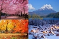 Thời Tiết Của Mỗi Mùa – Du Lịch Nhật Bản